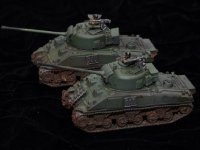 British Paras  (8 of 16)  Fireflies